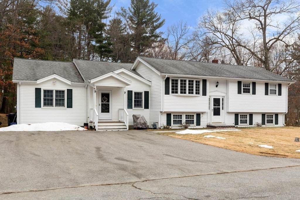 41 Old Jacobs Rd - Photo 1
