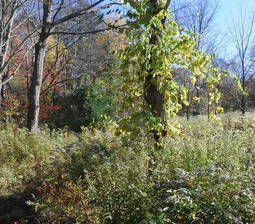 14 Bolton Rd - Photo 1