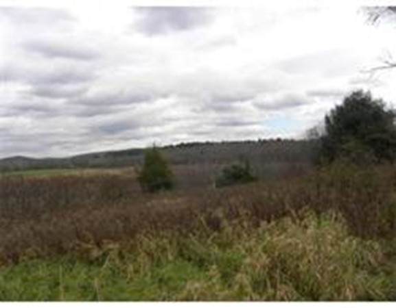 Lot 0 Brook - Photo 1