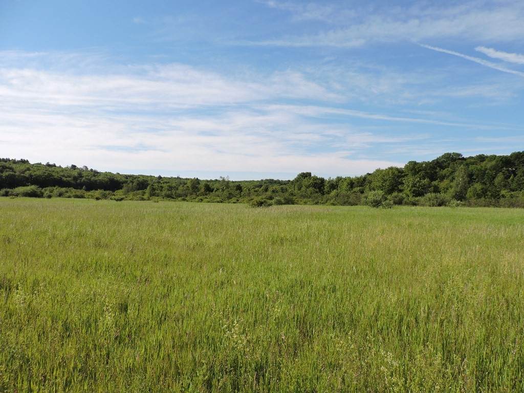 Lot 1 Brook & West St - Photo 1