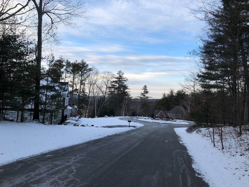 LOT 12 Squire Drive - Photo 1