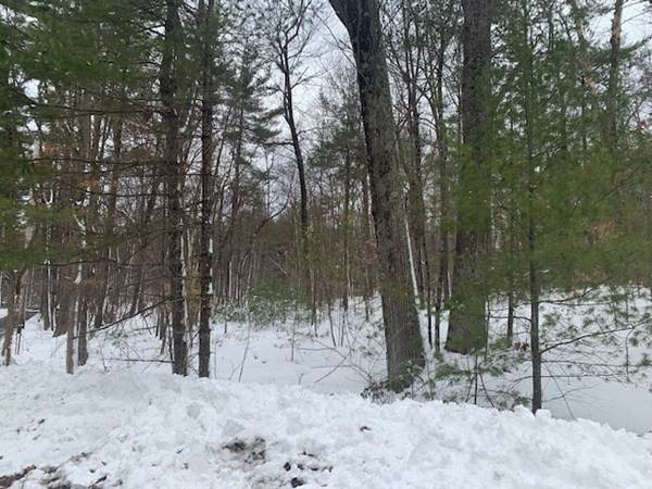 319 Highland St - Photo 1