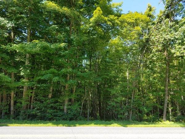 266 Holland Rd - Photo 1