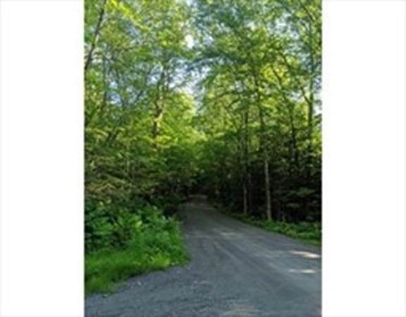 0 Thayer Hill Road - Photo 1
