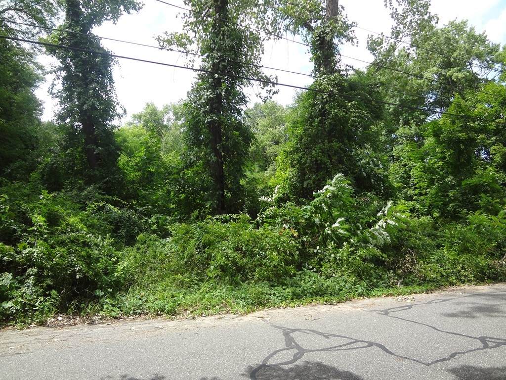 Lot 33 North St - Photo 1