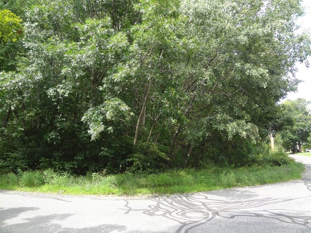 Lot 30 North St. - Photo 1