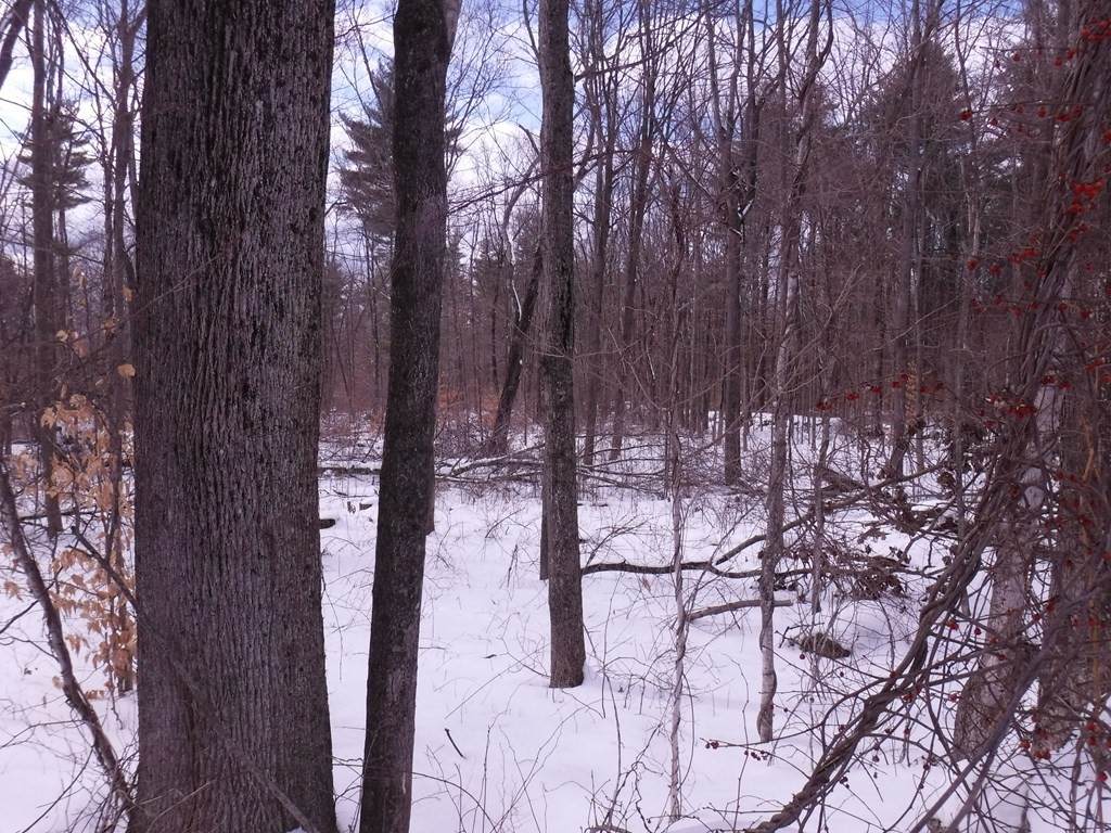 146 Fisherdick Rd - Photo 1