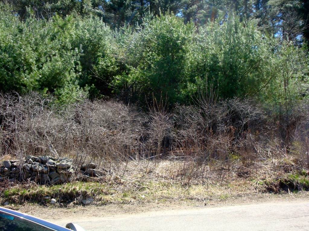 Lots 6 & 7 Harrington Road - Photo 1