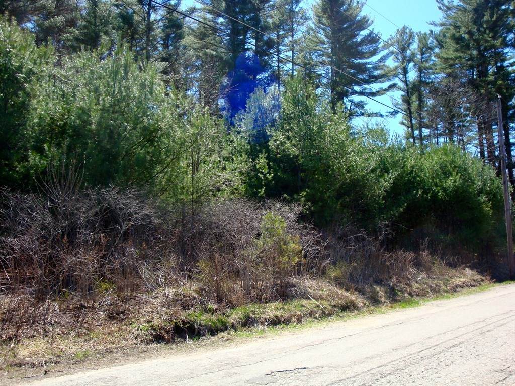Lot 6 Harrington Road - Photo 1