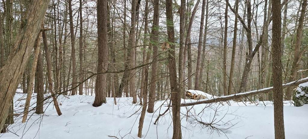 0 Walnut Hill Road - Photo 1