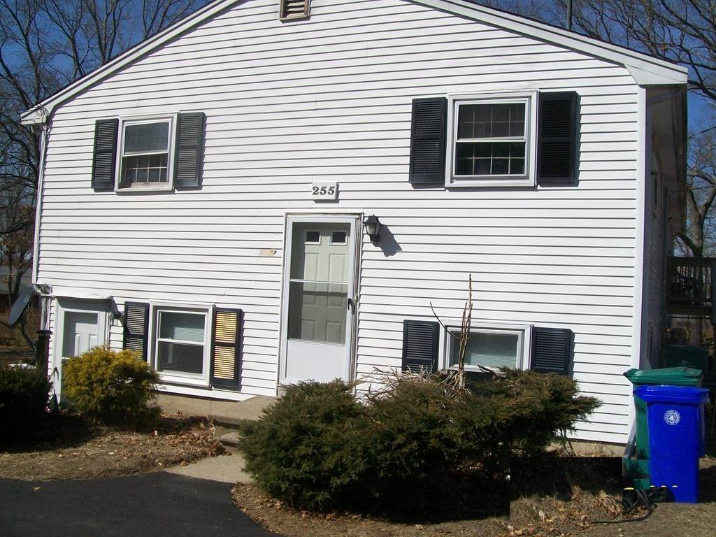 255 Brown - Photo 1