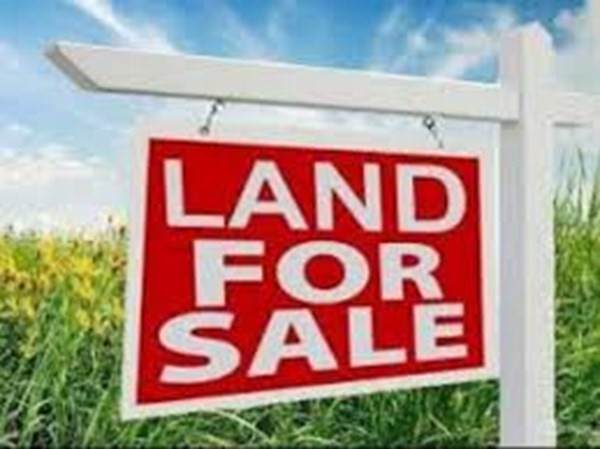 Lot 2 Fowler Rd - Photo 1