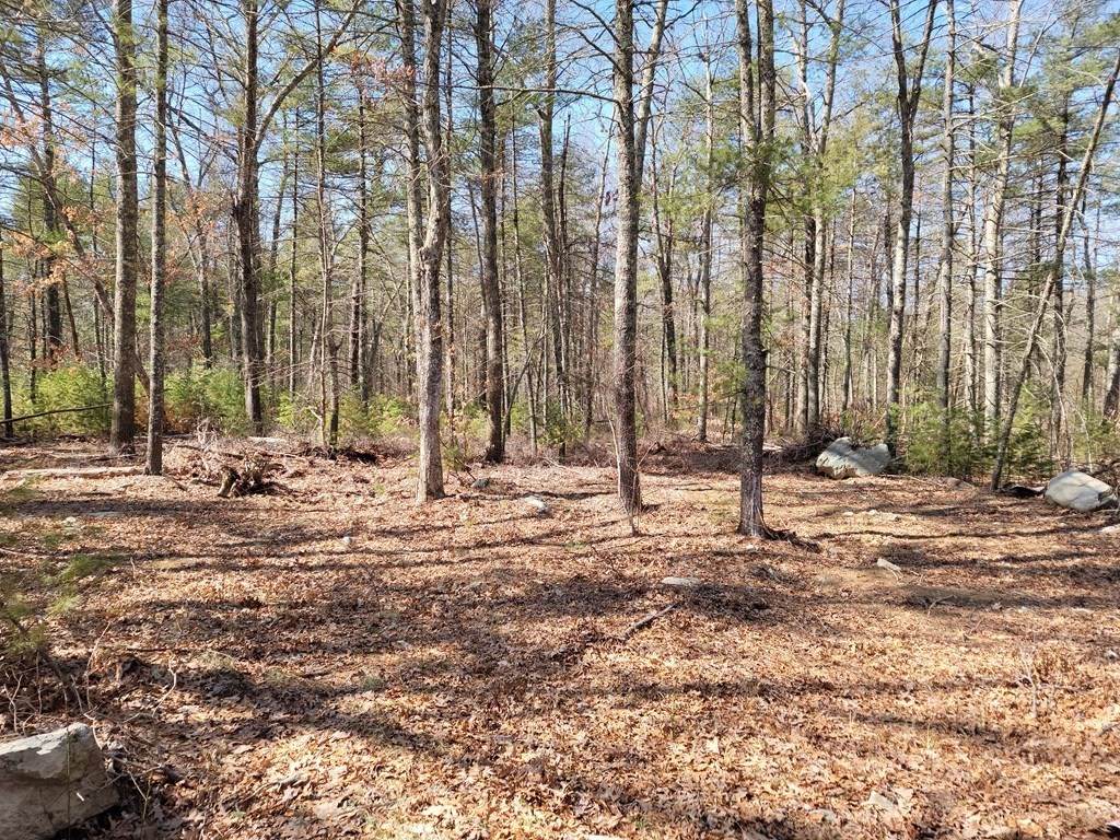 Lot 8 Round St. - Photo 1