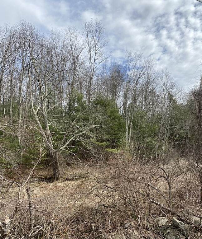 65 Birch Hill Rd - Photo 1