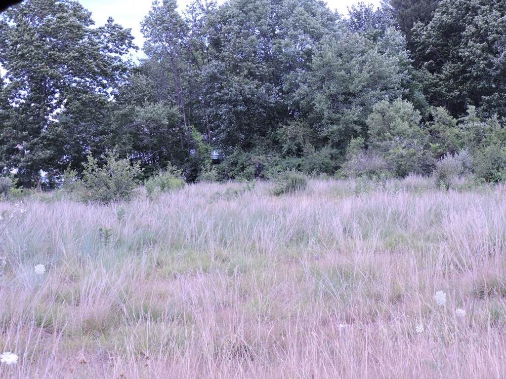 Lot 0 Lawton - Photo 1