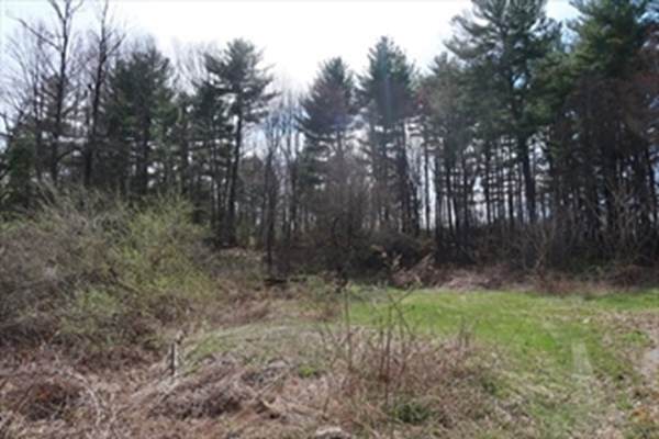 224 Russellville Rd - Photo 1