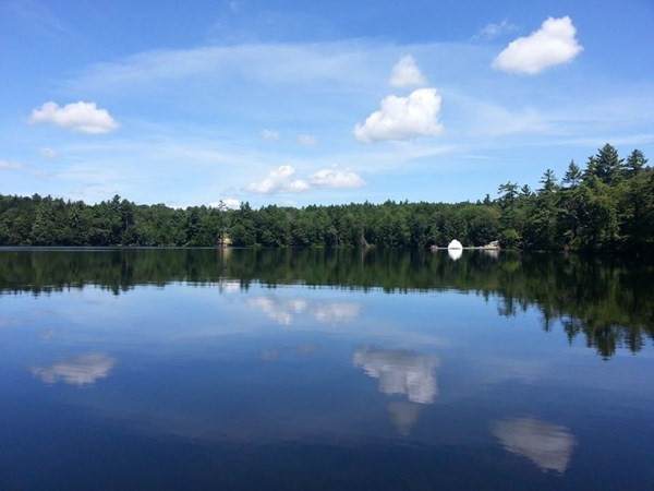 4 Adams Pond Rd - Photo 1