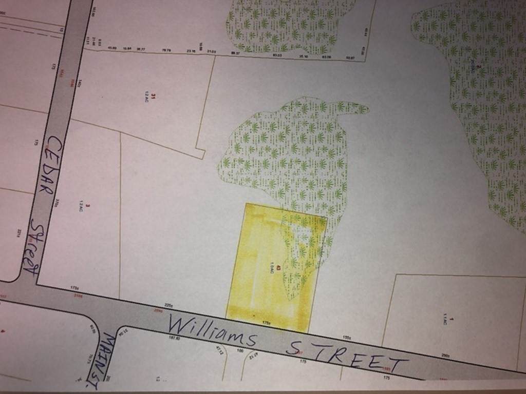 0 Williams Street - Photo 1
