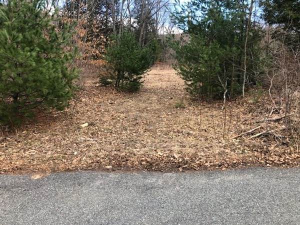 0 Walling Rd L: - Photo 1