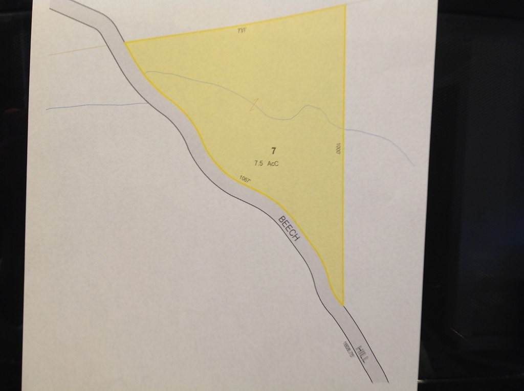 Lot 7 Pine Hill/Beech Hill Road - Photo 1