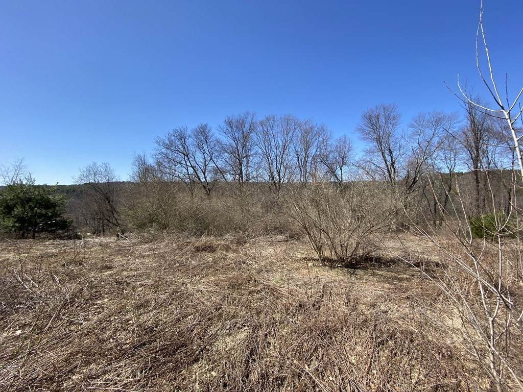 0 Washington Rd L Lot 4 - Photo 1