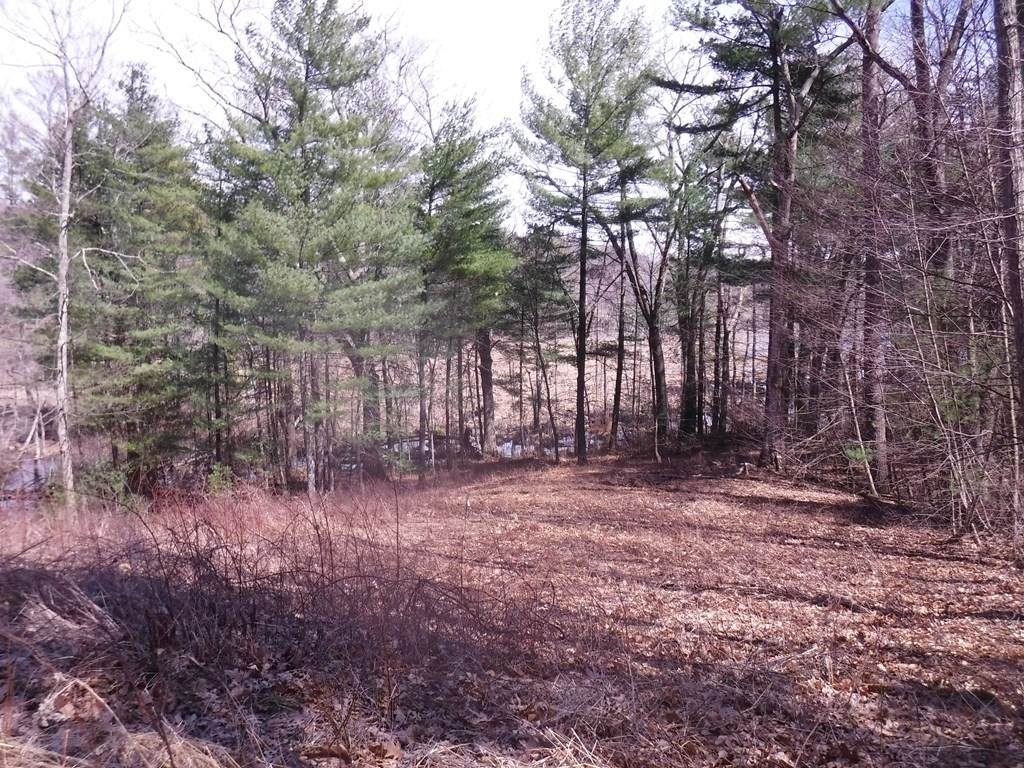 Lot 1 Cutler Rd - Photo 1