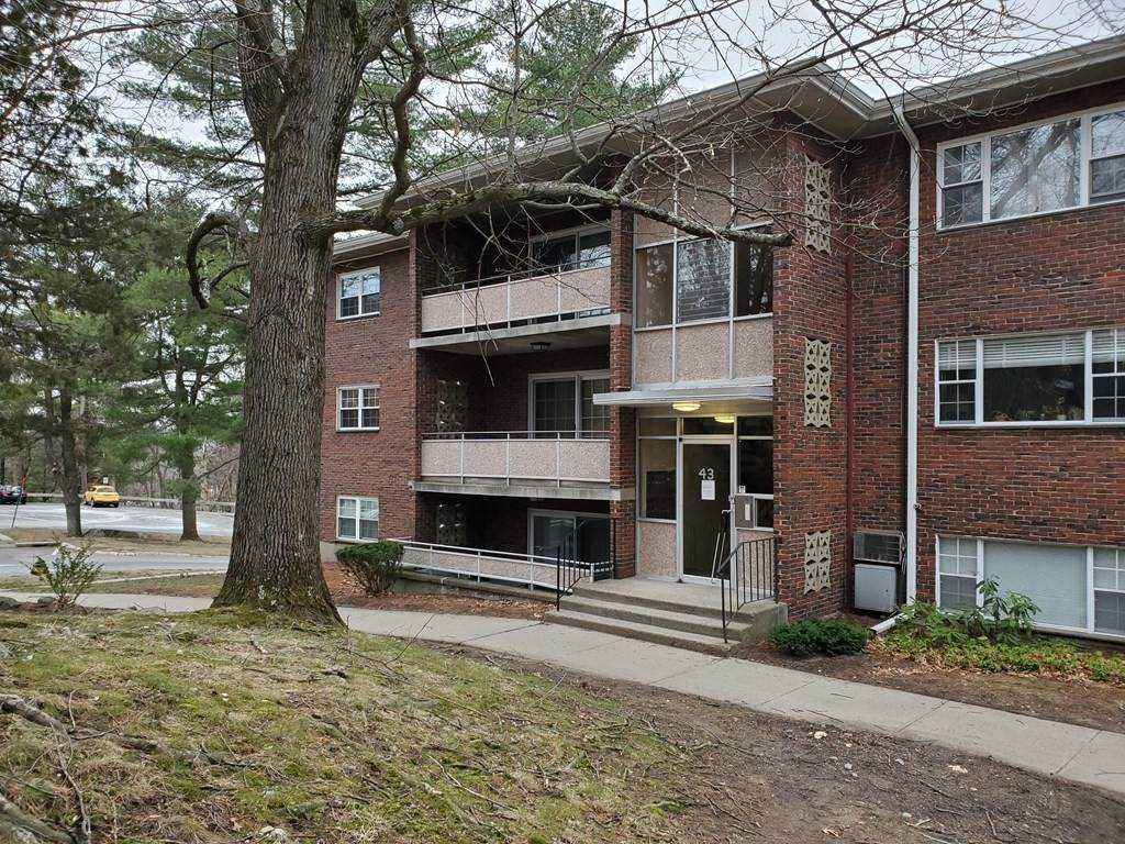 43 Jacqueline Rd - Photo 1