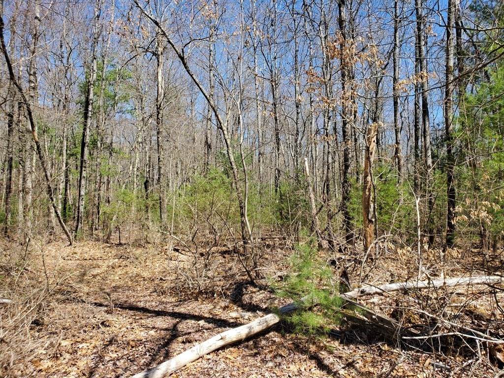 0 Michael Sears Rd L: - Photo 1