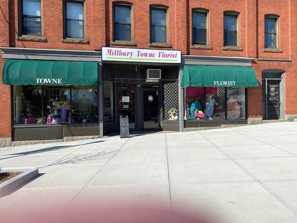 97 Elm - Photo 1