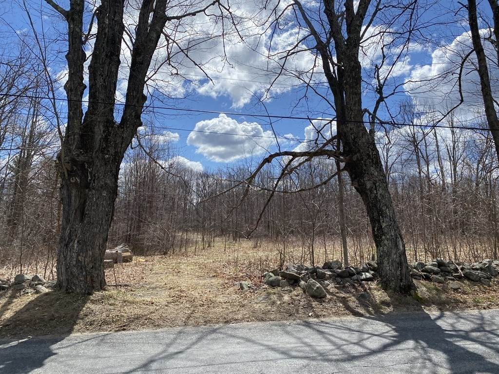 0 Beaman Road - Photo 1
