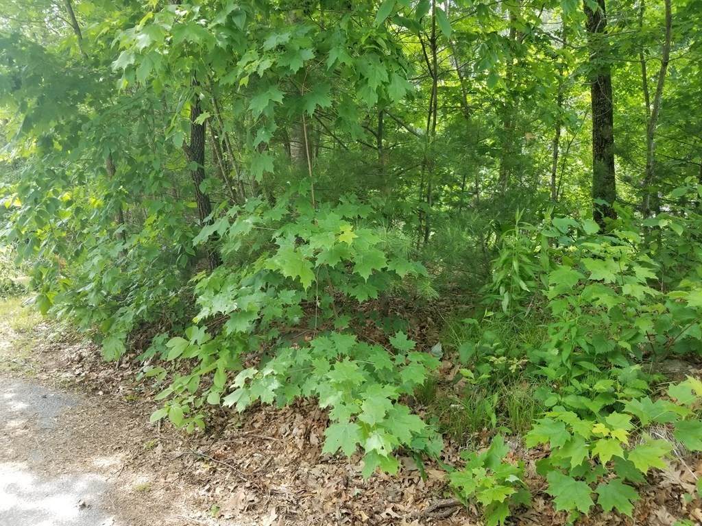141 Town Farm Rd - Photo 1