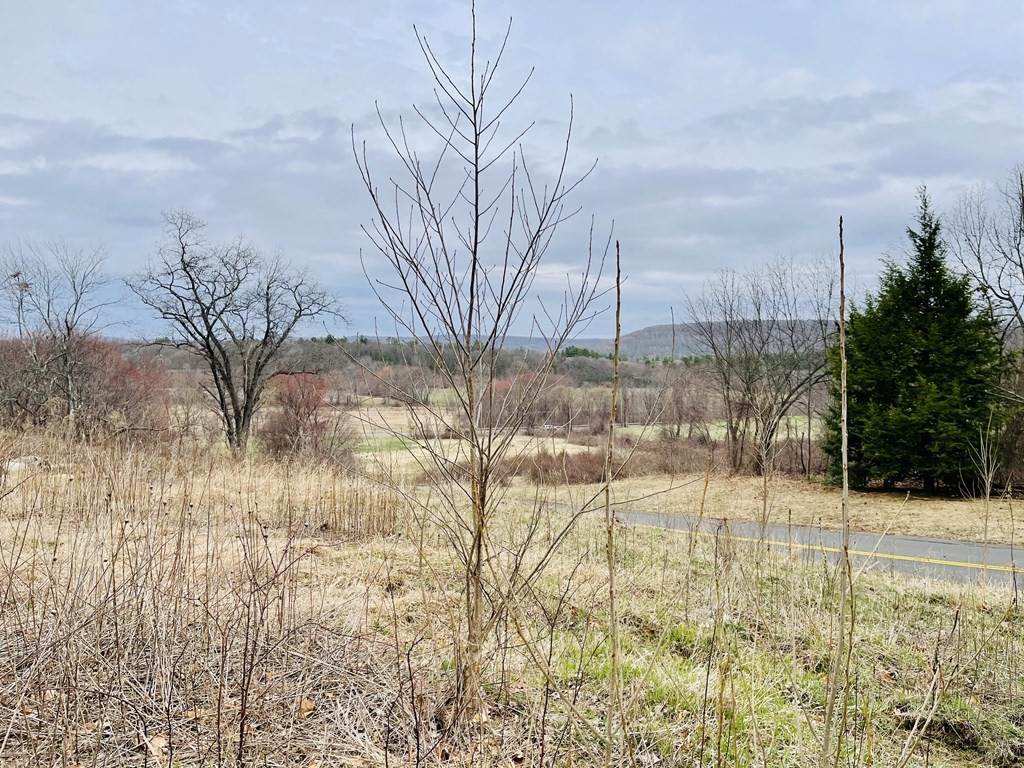 22 Nicholson Hill Rd - Photo 1
