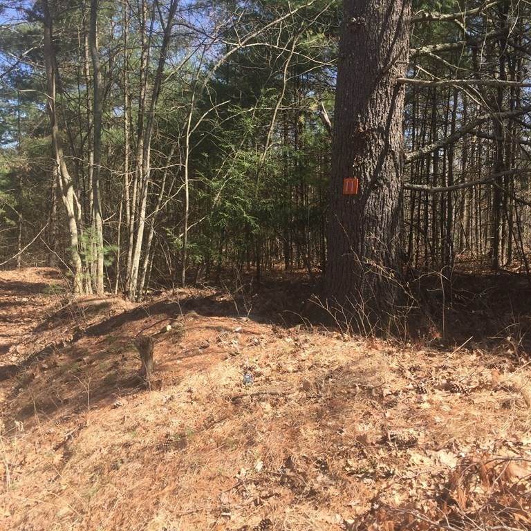 Lot 11 Town Farm Rd - Photo 1