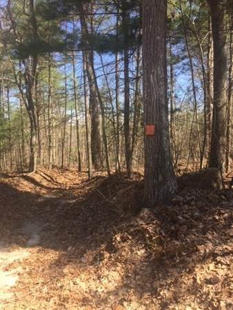 Lot 12 Town Farm Rd - Photo 1