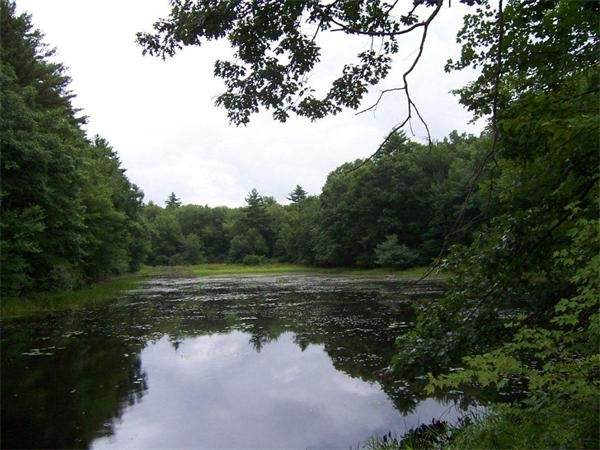 Lot 1 45 Martin Rd - Photo 1