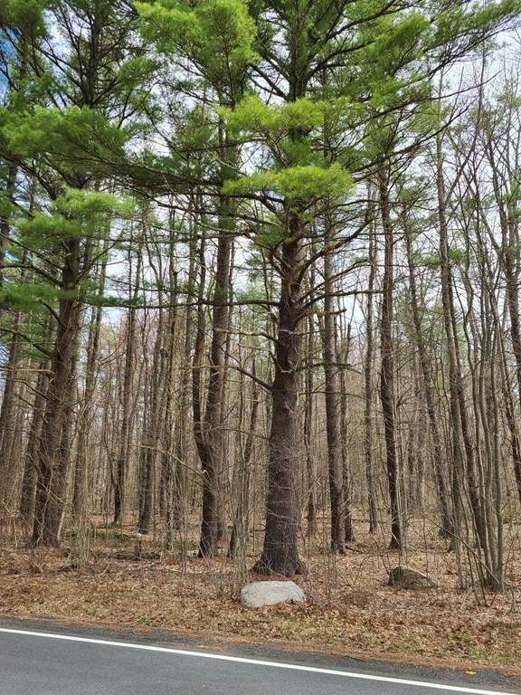 0 New Salem Rd - Photo 1