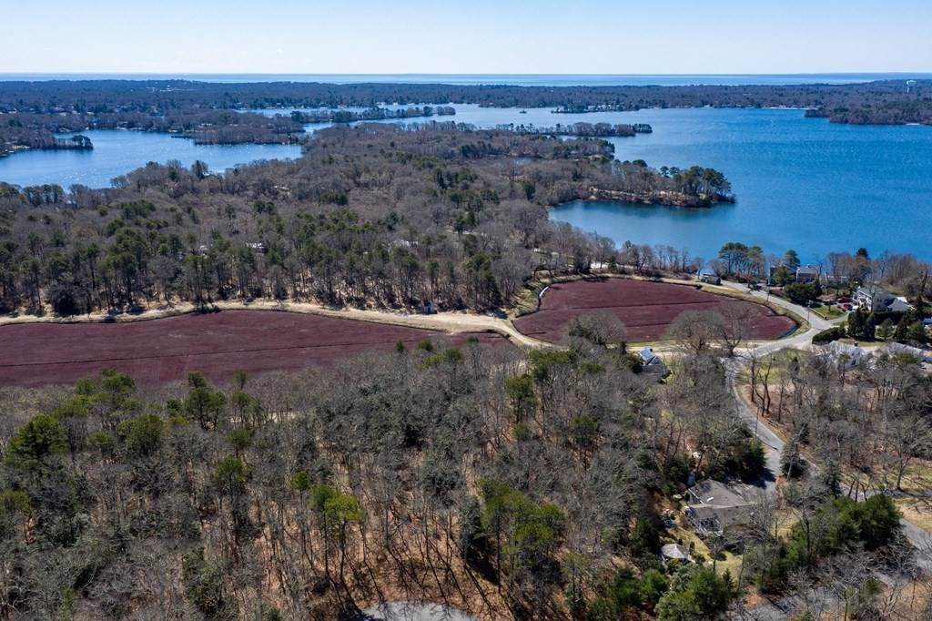 29 Summerwind Lane - Photo 1