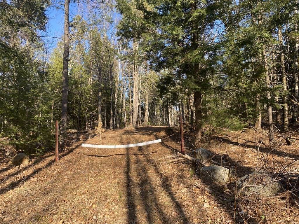 Lot 5 John Ford Rd - Photo 1