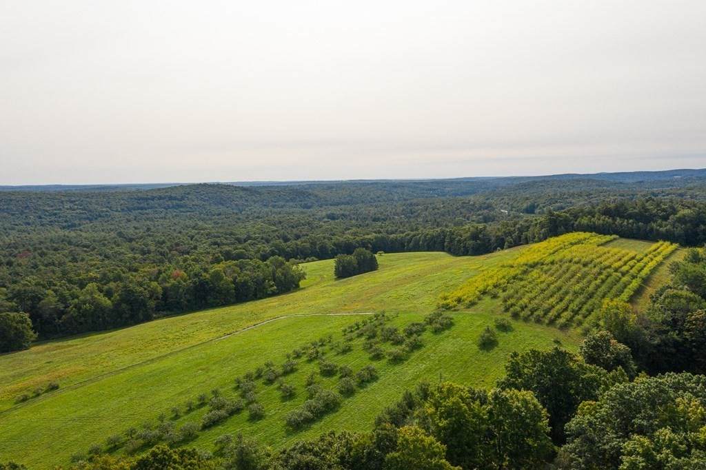 17 Apple Rd - Photo 1