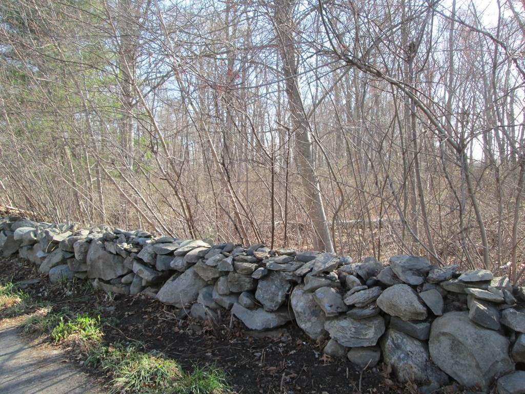 O Oak Street - Photo 1