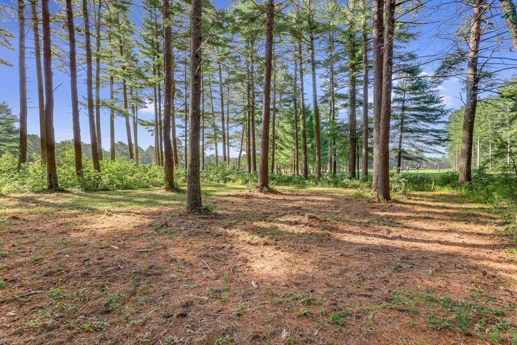 15 Ryecroft - Photo 1
