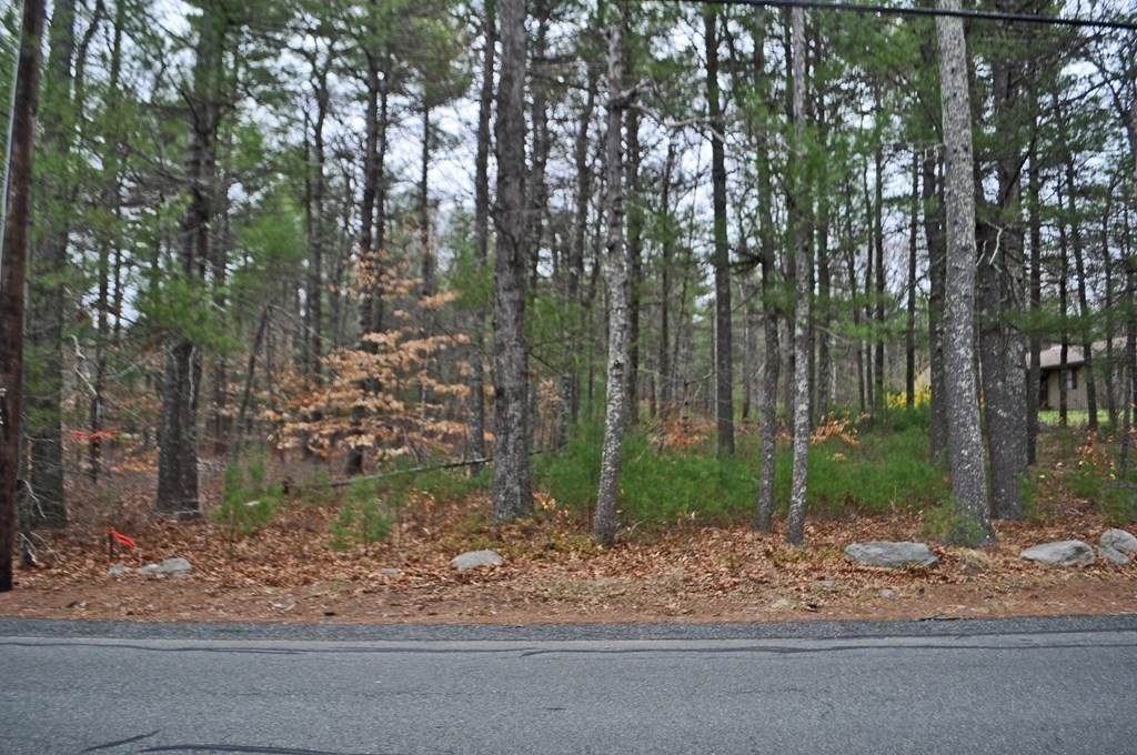 0 Walnut St - Parcel A - Photo 1