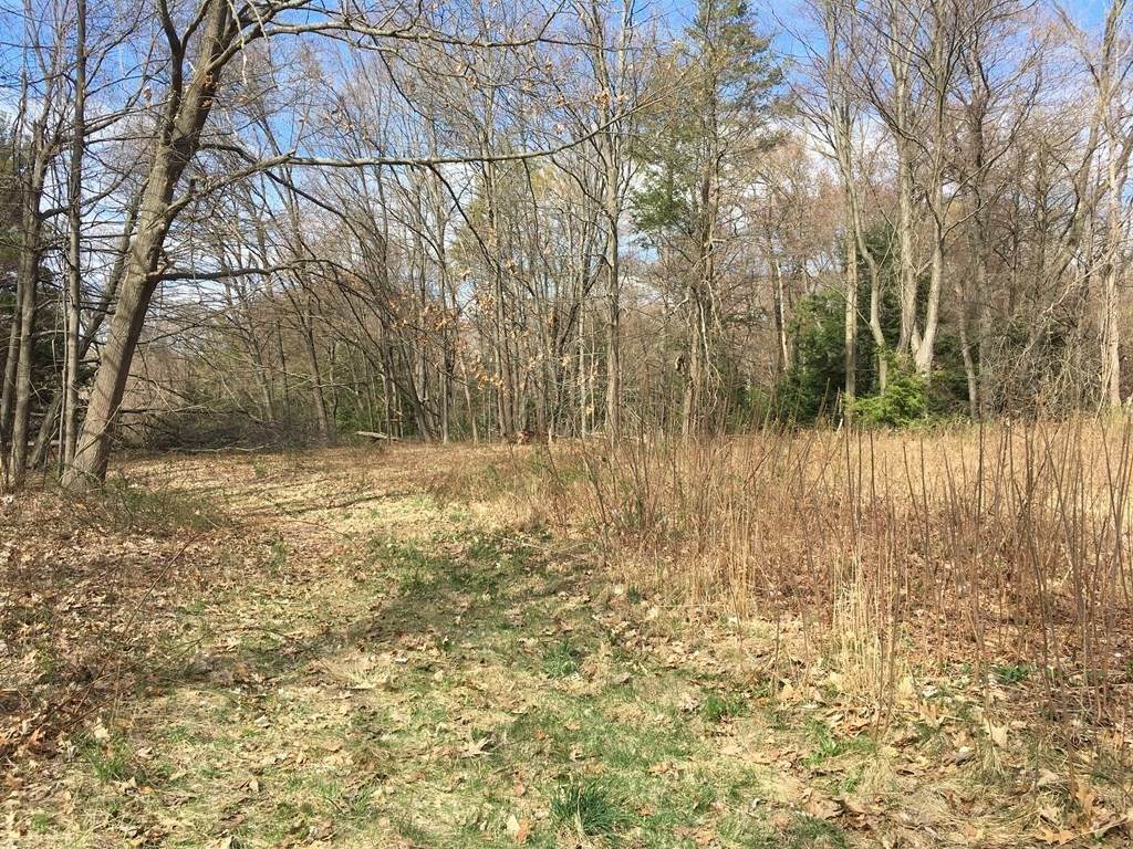 0 & 87 Hockanum Rd - Photo 1