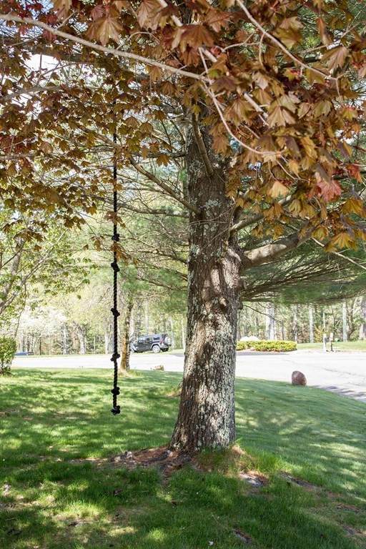 71 Moose Hill Pkwy - Photo 1