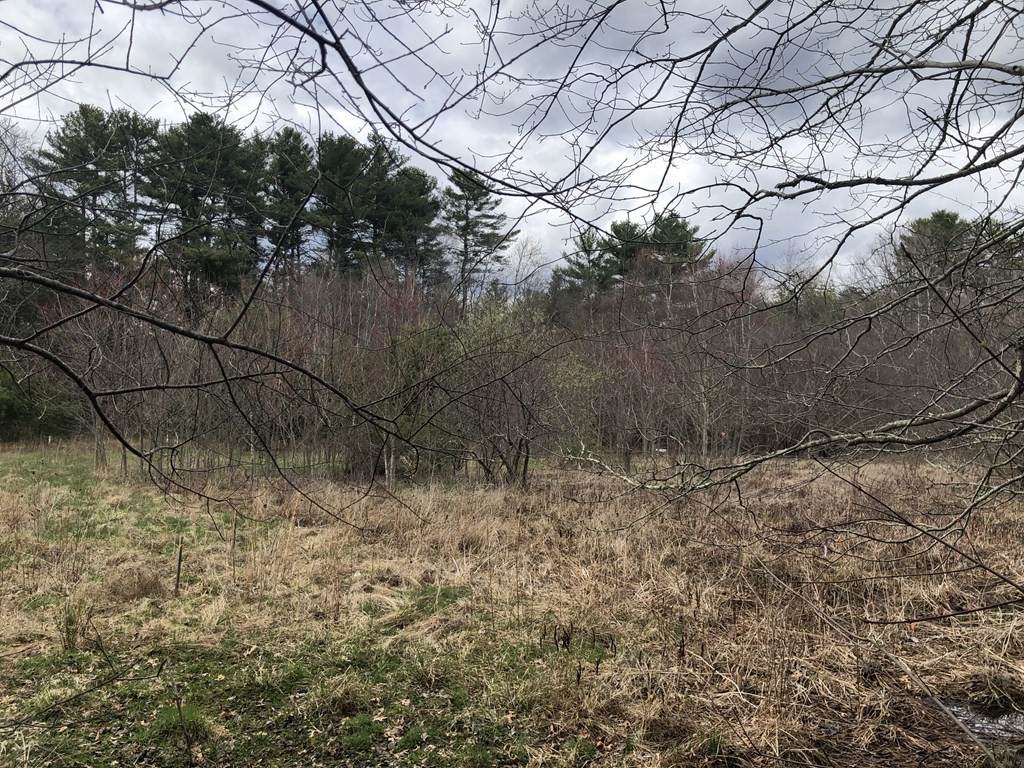 68 Cedar Street - Photo 1