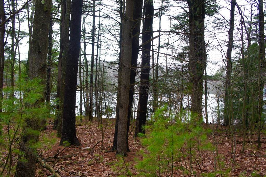 Lot 3 Mashapaug Rd. - Photo 1