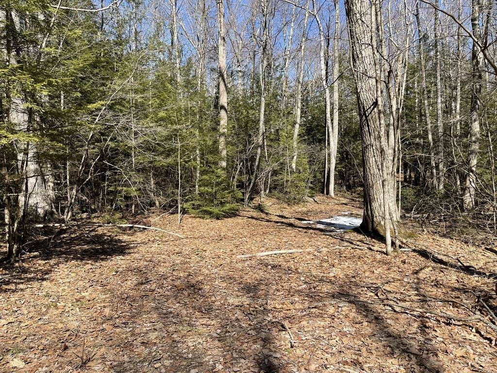 92 Crooked Ledge Rd - Photo 1