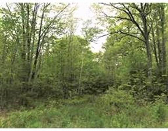 0 Baldwinville Road - Photo 1