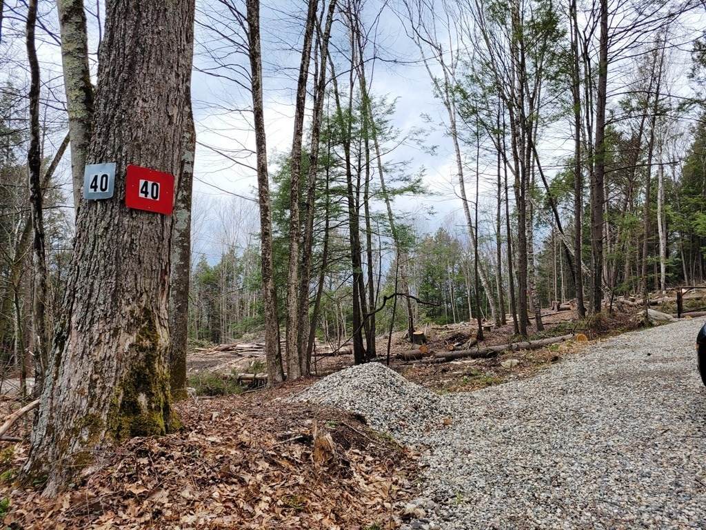 40 County Rd - Photo 1