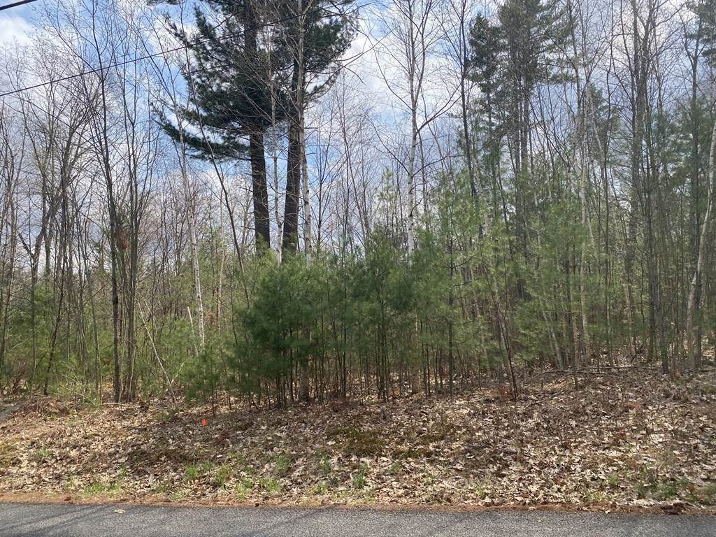 Lot 24 Granby Rd - Photo 1